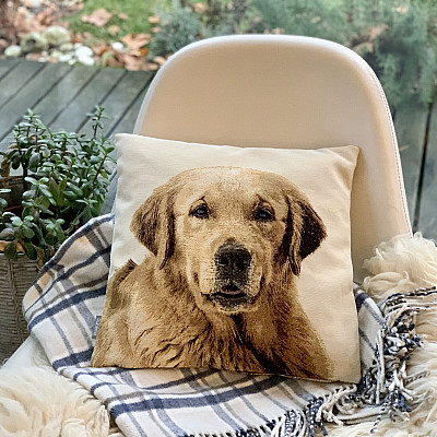 Za ljubitelje živali - mehkoba, ki vas bo ukrotila